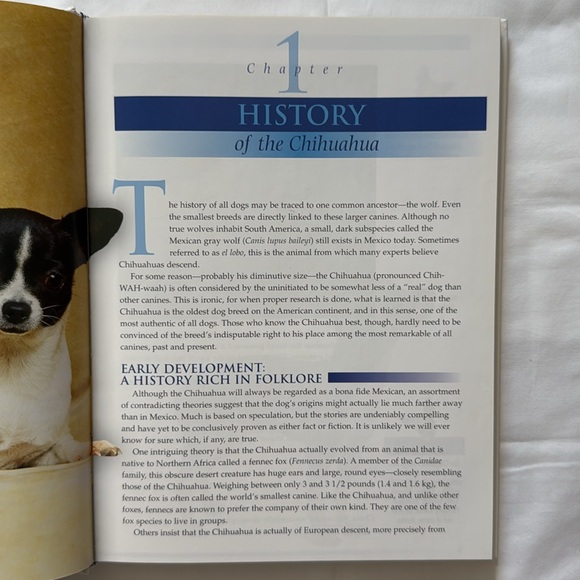 Book: The Chihuahua - Picture 4 of 12